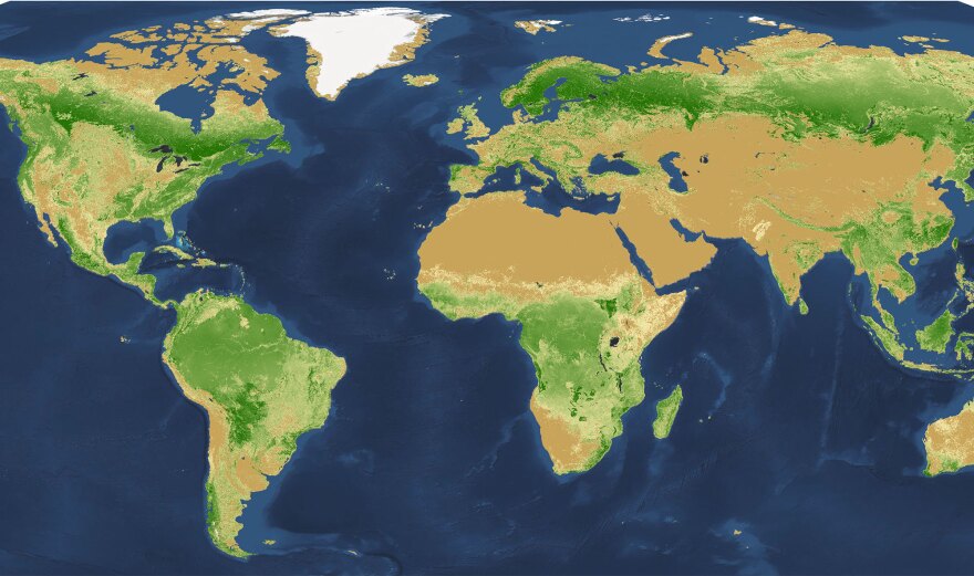 The Amazon basin leads the world in tree density: dark green represents 1 million or more trees per square kilometer. There are fewer trees in the lighter shades of green. The buff color has very few trees, and darkest brown represents areas with no trees.