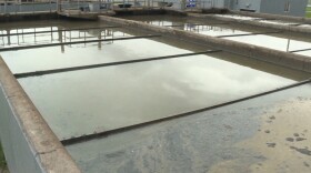 The grimy substance at the bottom is oil mixed with wastewater at Speedway's treatment plant.