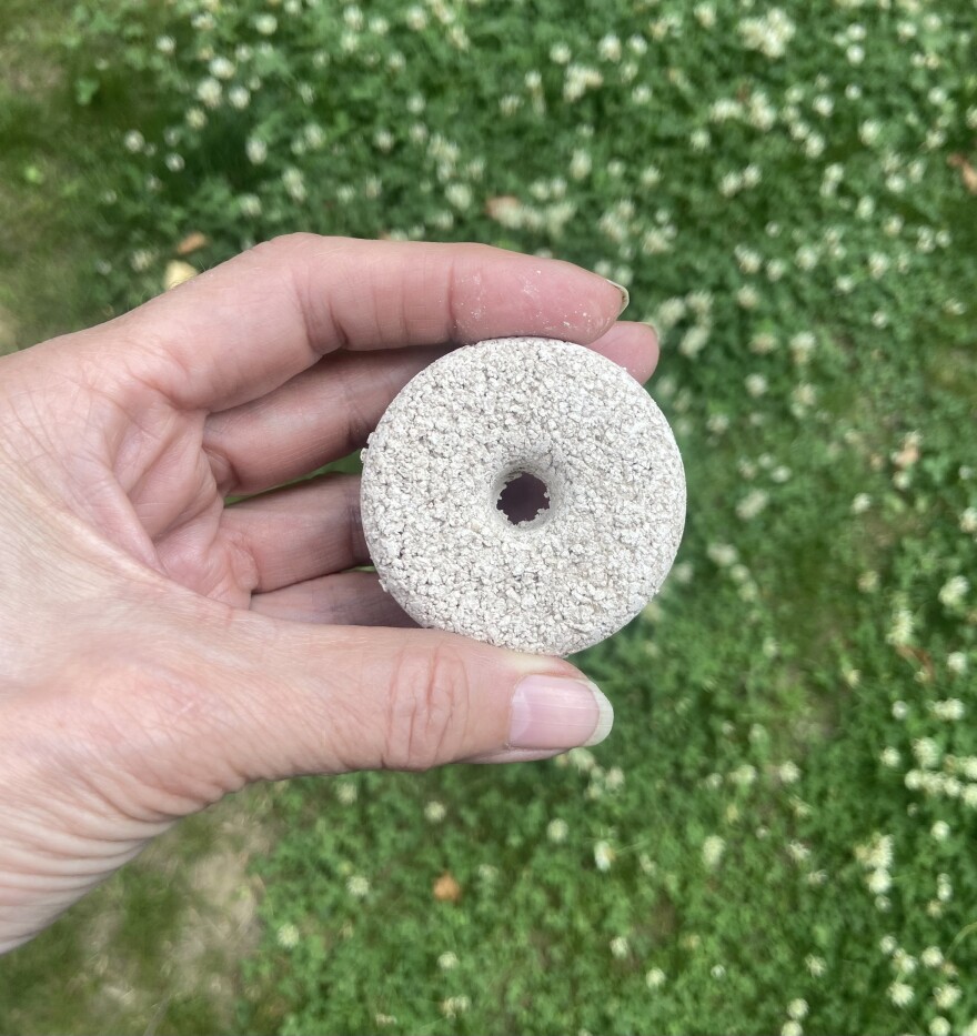A mosquito dunk.