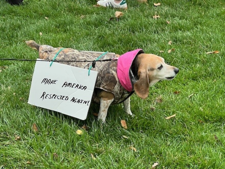Scenes from anti-Trump protest Apr. 5, 2025