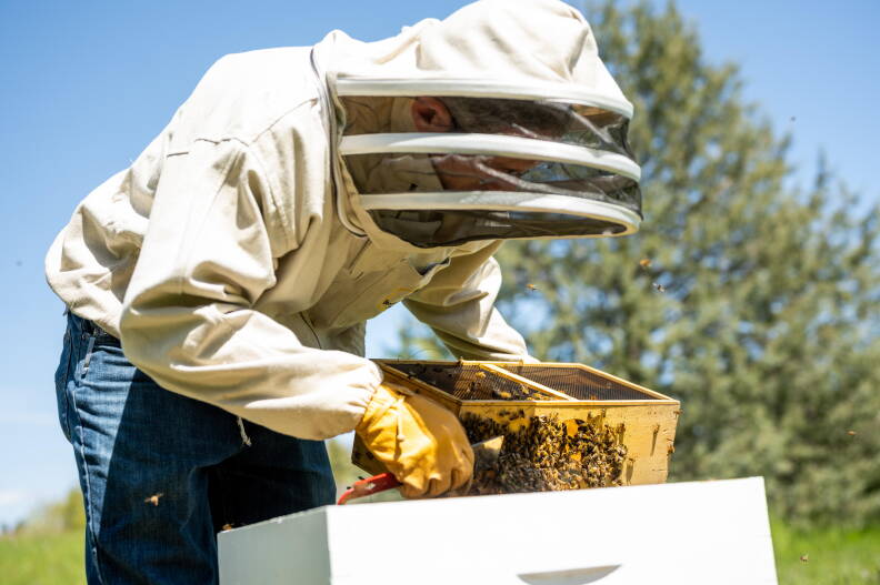 James Van Leuven is a research assistant professor in University of Idaho’s College of Agricultural and Life Sciences.
