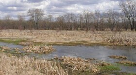 Indiana has already lost 85 percent of its wetlands.