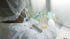 FILE - In this May 2020 photo provided by Eli Lilly, a researcher tests possible COVID-19 antibodies in a laboratory in Indianapolis. The drug company says it has asked the U.S. government to allow emergency use of an experimental antibody therapy based on early results from a study suggesting the drug reduced symptoms, the amount of virus and hospitalizations and ER visits for patients with mild or moderate COVID-19.