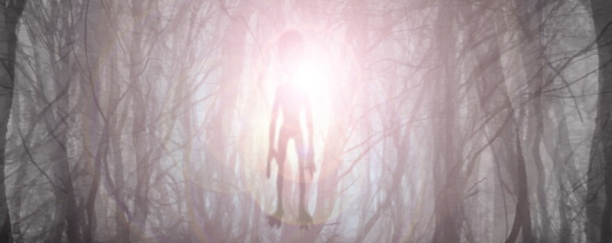 alien forrest