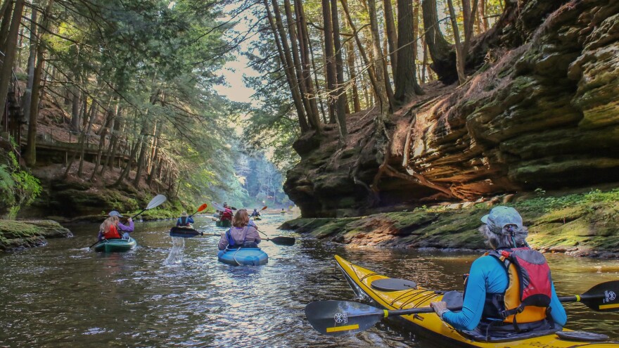 Half a dozen kayakers paddle down a narrow river flanked by low treelined cliffs