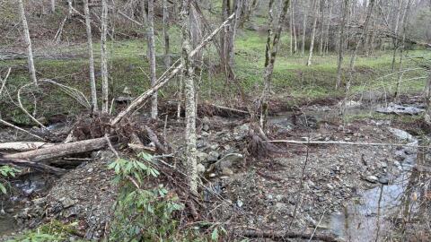 A washed out section of Profile Trail