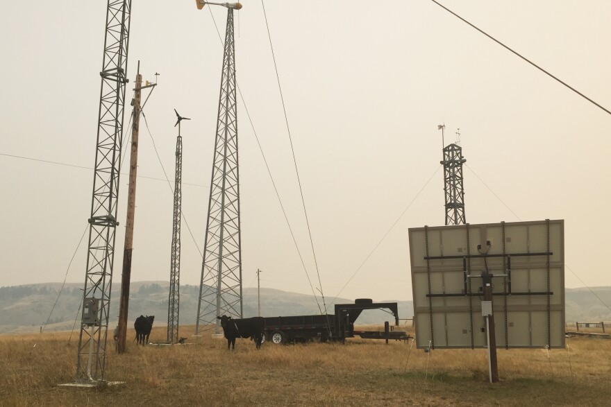 Jenni Bryce's cattle graze around her family's wind turbines and solar panels at her home near Belt, Mont.