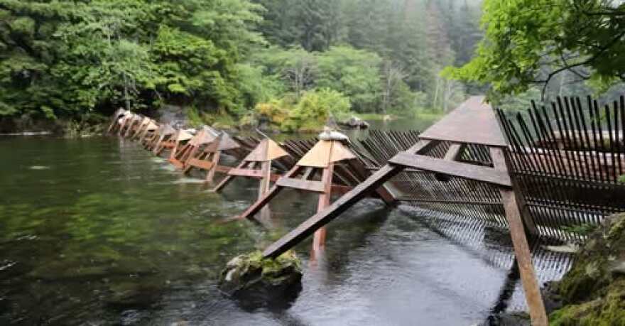 The Redoubt weir stretches across the outflows of the lake.