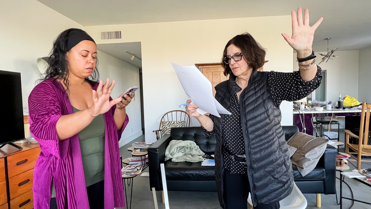 What's the state of U.S. democracy? Nine short plays by women will offer answers.