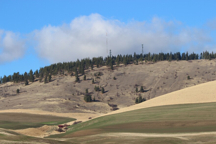 A picture of the KWSU TV towers on a butte with fields below