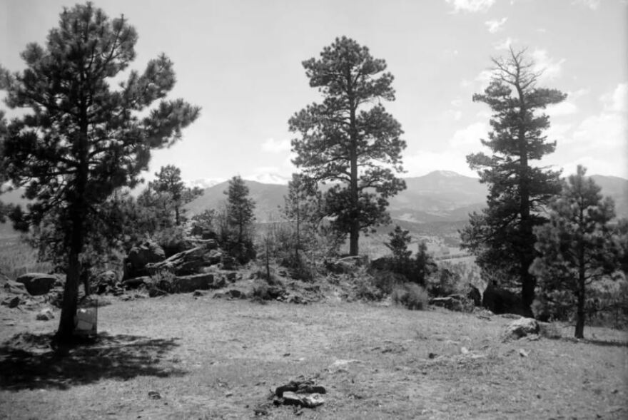 The peak that could be renamed Mestaa’ėhehe Mountain is seen between the trees at center right, in the photograph taken in 1916. Mount Evans is the snow-capped massif visible at center-left.
