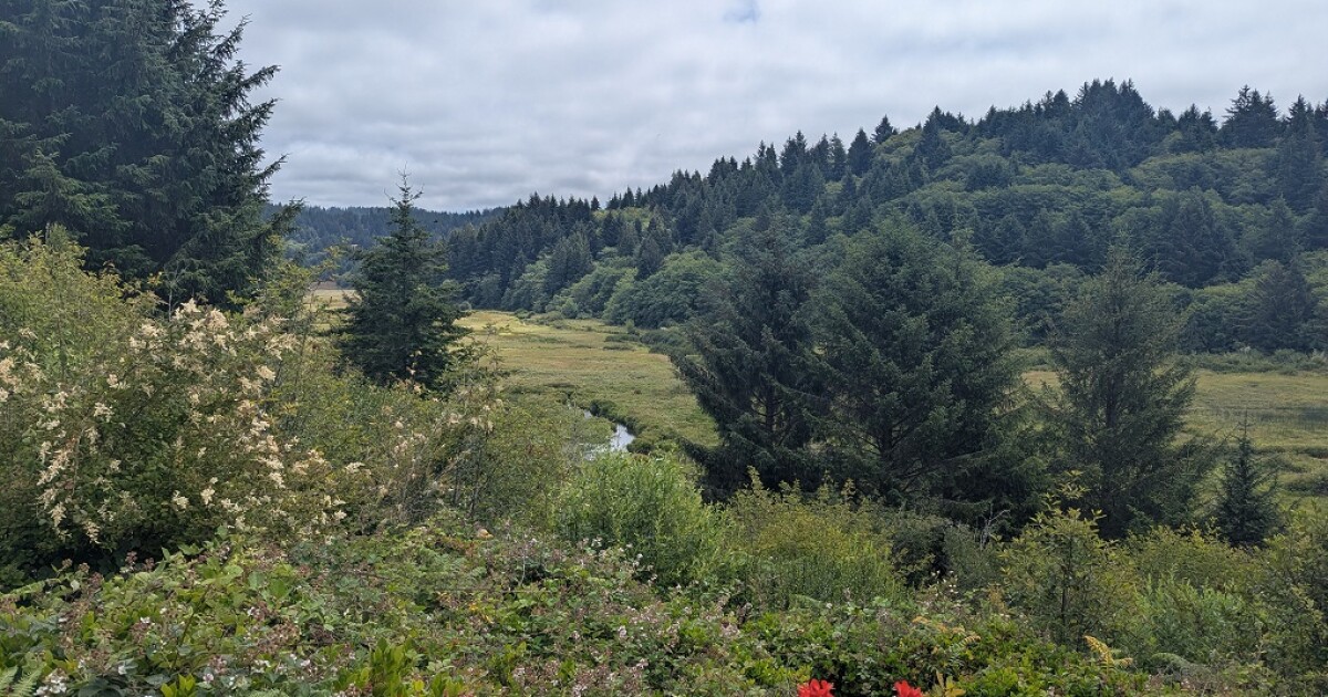 Parking fees will be required at more Oregon State Parks this spring