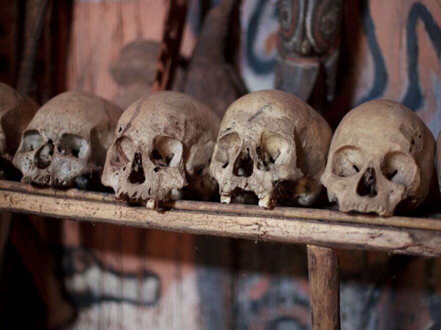 Cannibalism was practiced in Papua New Guinea up until the 1930s. These skulls in a ceremonial men's hut represent the old custom.