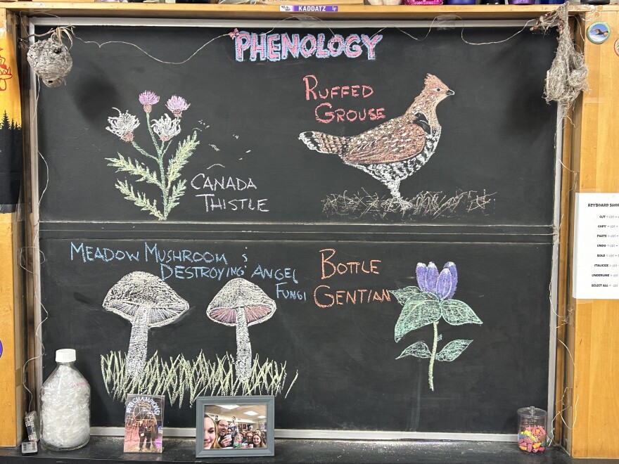 Blackboard illustrations show a meadow mushroom and destroying angel mushroom, a bottle gentian, a Ruffed Grouse, and a Canada thistle.