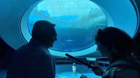 Frank Steslow, left, the President and CEO of the Phillip and Patricia Frost Museum of Science, and Caitie Muñoz, right, Sundial's lead producer at the museum's aquarium on Wednesday, June 22, 2022.