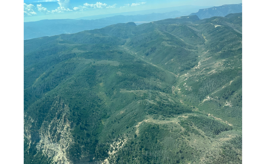 Prime elk-herd territory up for leasing.