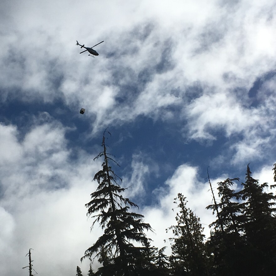 A 300-pound billy goat takes to the air, by crate, bound for its new home in the North Cascades.