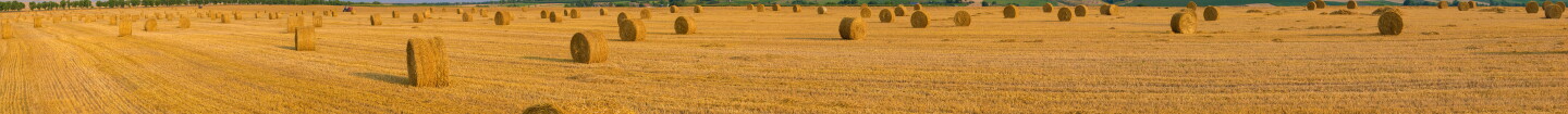 While driving down an East Texas country road I spotted this scene. The autumn trees and the late afternoon sun made these golden bales of hay shine just a little bit more. Fortunately I had my camera with me. (c) James Q. Eddy Jr.