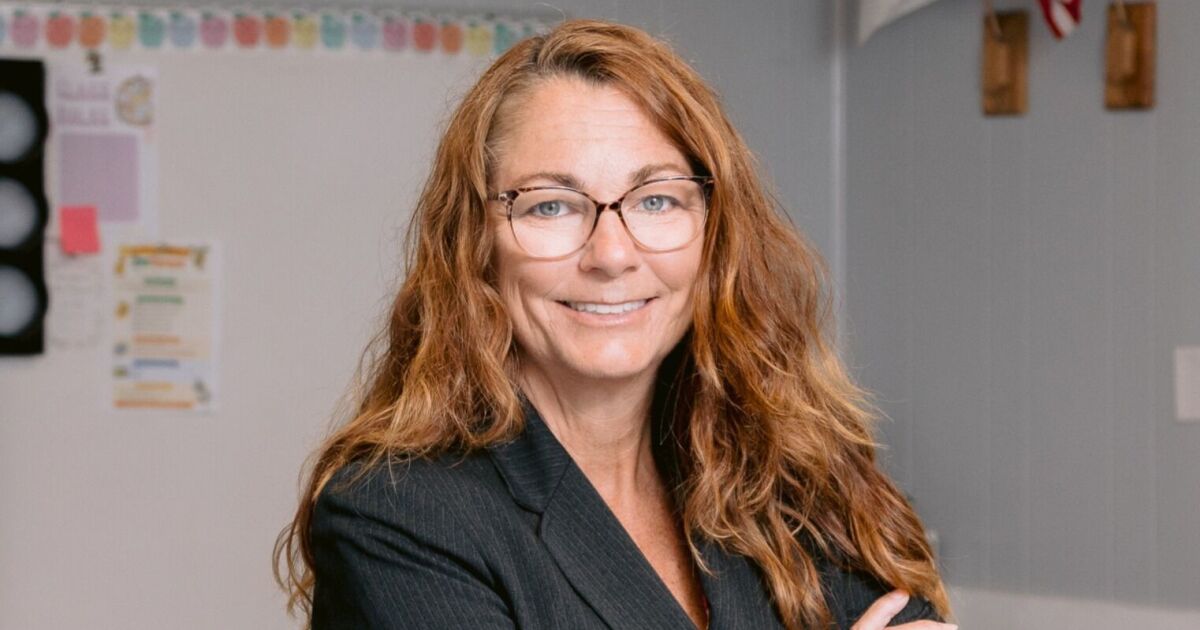 Nancy Bostock clinches Pinellas school board seat after recount