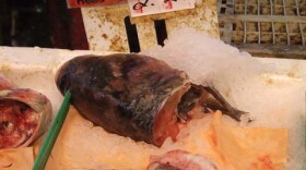 Bighead carp for sale (in this case, dead) at an Asian grocery store in Toronto.