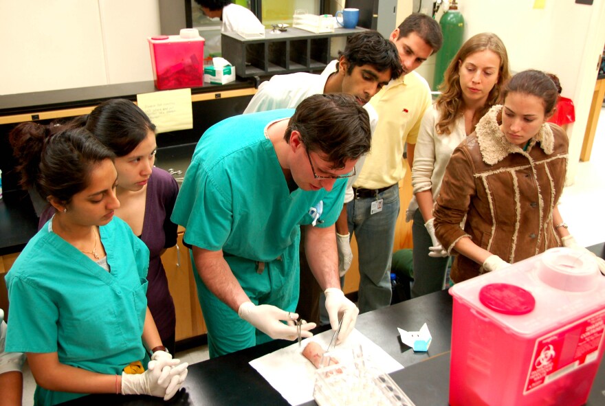 Medical students learning about stitches