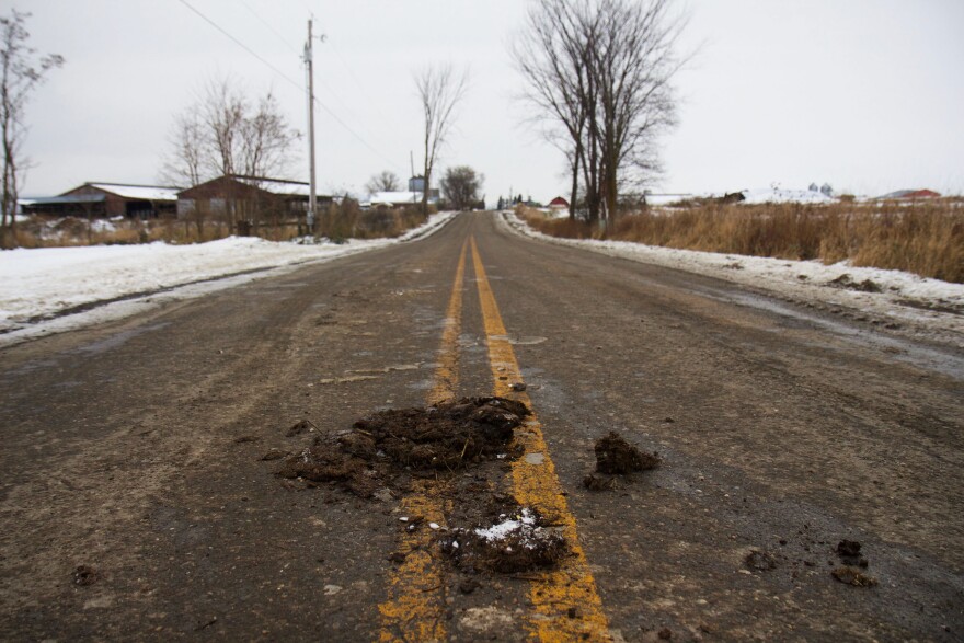 Manure is seen along Lake Road in Bridport.