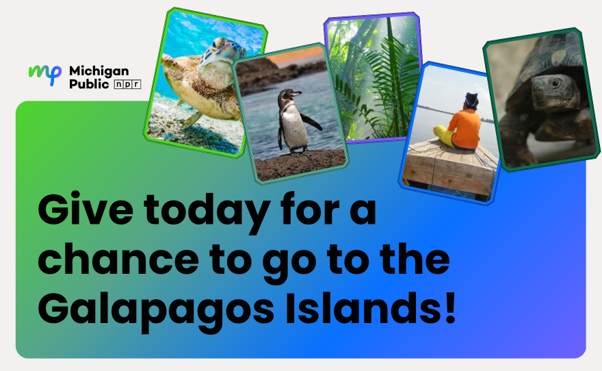 a blue and gray gradient image with thumbnails of a sea turtle, penguin, island foliage, and more