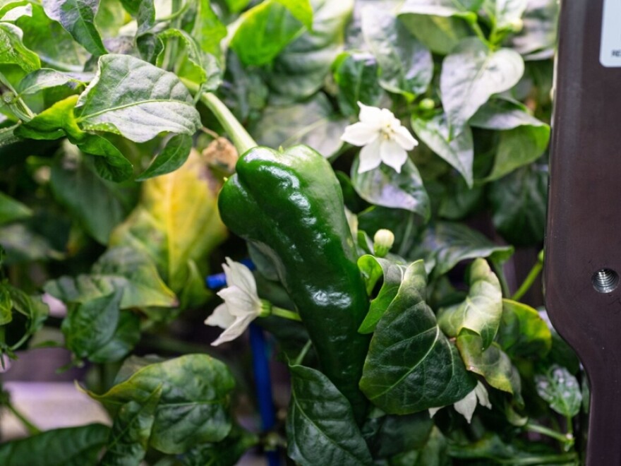 A hatch chile aboard the International Space Station