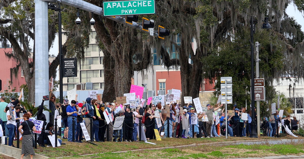 Over 300 protest Trump administration, Elon Musk at Florida Capitol ...