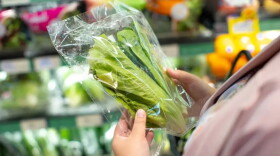 Fresh lettuce in plastic packaging held by shopper in grocery store, surrounded by various vegetables.  