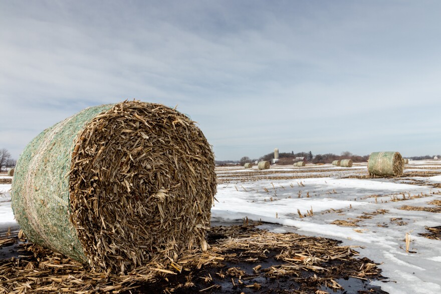Snow melts in a field dotted with corn stalk bales on a farm in Iowa.
