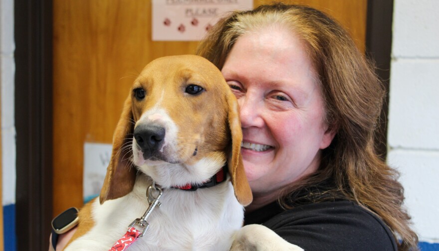 Diane Bailey of Midland poses for a photo with her new beagle, Finley. In 2022, the dog was rescued from Envigo, a research and breeding facility in Virginia that was accused of violating federal regulations.