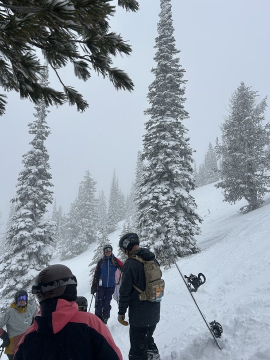 Skiers stand on a tour of whitebark pine at Whitefish Mountain Resort