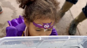  Jevencia Marshall, 2, peers into a tank of juvenile lamprey at the Creep at the Reach event Friday.