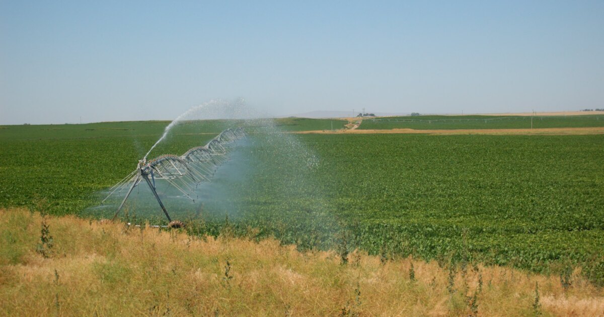 Idaho teens build AI tool to help farmers save water and grow smarter