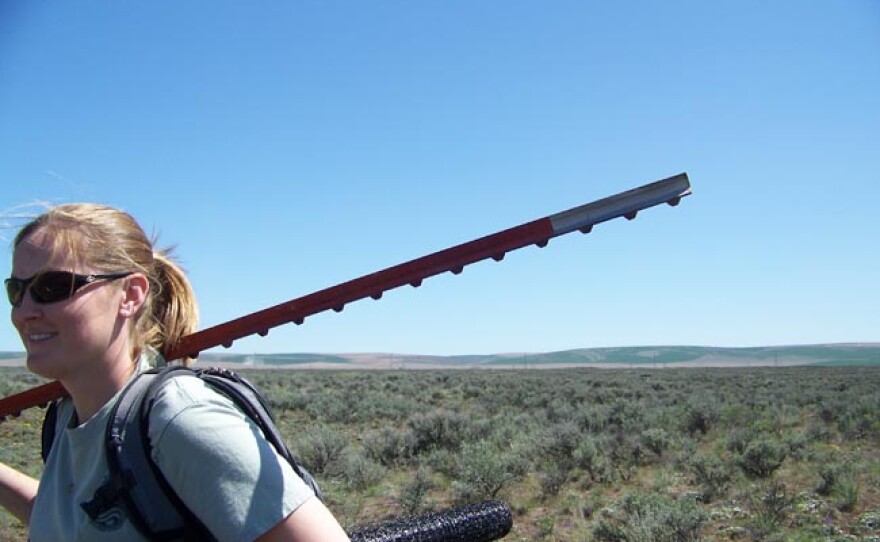 Penny Becker hauls fence building equipment across the vast expanses of sagebrush in order to build temporary enclosures for pygmy rabbits.