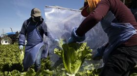 Brent Stirton/Getty Images