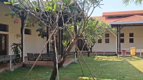 Tree being held up in a hospital courtyard