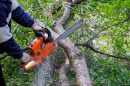a close up shot of a man cutting a tree with electronic chainsaw