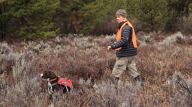 Aimee Hurt of the organization Working Dogs for Conservation is trying to see if her pooches can accurately detect winter ticks.