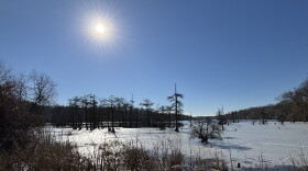 A view of Sunken Meadow Pond in Surry County during icy weather in January 2025.