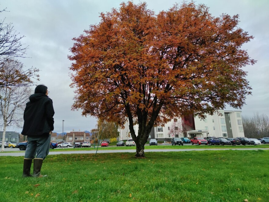 Jeron gazes at a tree in his new surroundings.