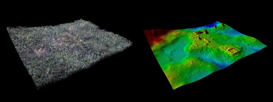 Visualization of separate LiDAR layers of the forest cover and of vegetation-free ground surface of the site of El Zotz.