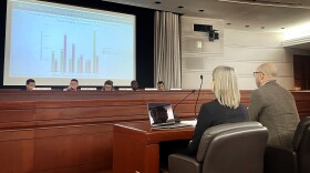 ECOnorthwest researchers Madeline Miller and Michael Wilkerson speaking to the general assembly's Housing and Planning and Development Committee jointly at a meeting in the Legislative Office Building January 30, 2025 in Hartford, Connecticut.