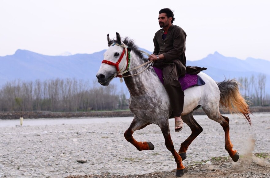 A horse's legs get a henna treatment every Friday on its day off from carrying sand.