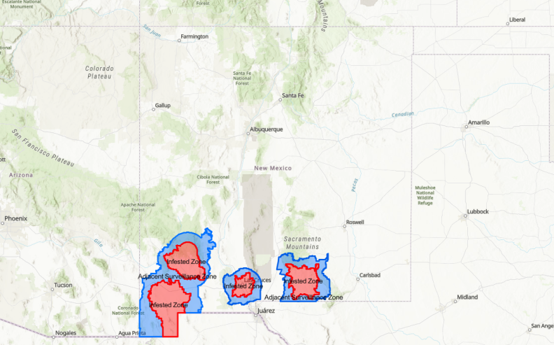 Las Cruces in 'infested zone' after new screwworm cases at NMSU