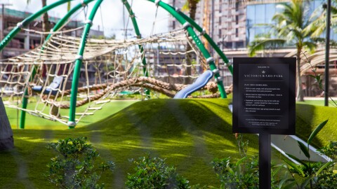 Victoria Ward Park in Kakaʻako on Feb. 13, 2026.