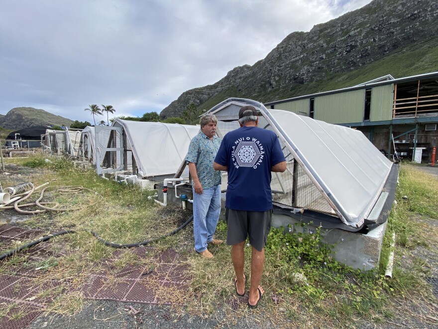 Shaun Moss and Wally Ito at Hawai‘i Pacific University's Oceanic Institute on Nov. 23, 2022.