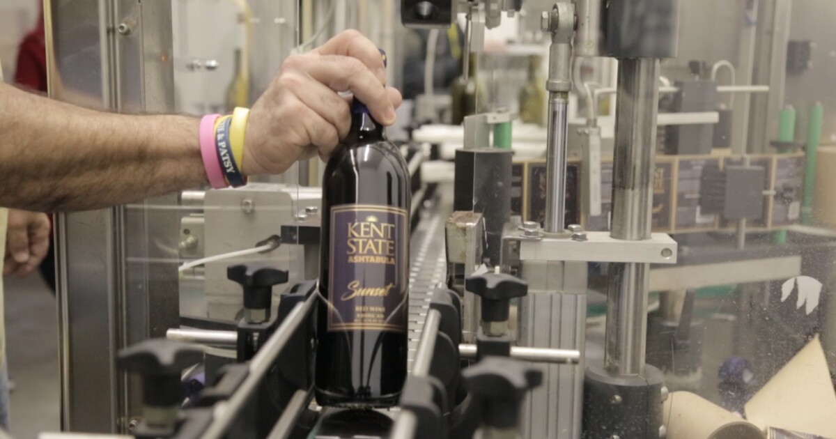 Kent State Ashtabula Offers Ohio's Only Winemaking Degree Ideastream