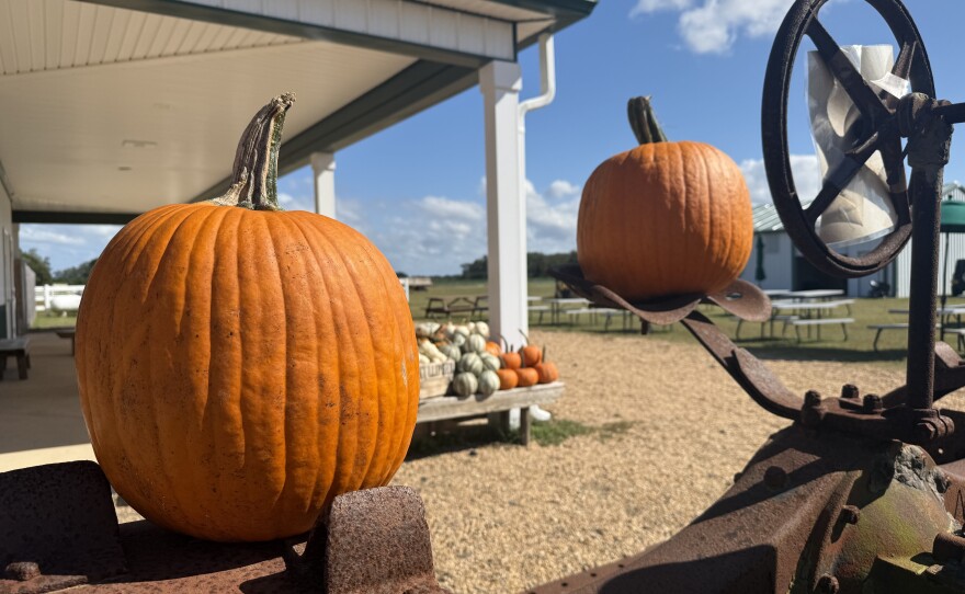 Farms like Cullipher Farm in Virginia Beach say fall is the busiest time of year.